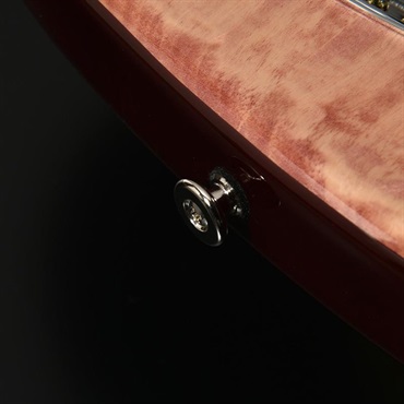 momose MJS-TOCHI WSE’25/NJ (VWR-GRD) 【Deviser One Day Guitar Show 2025 選定品】 画像2