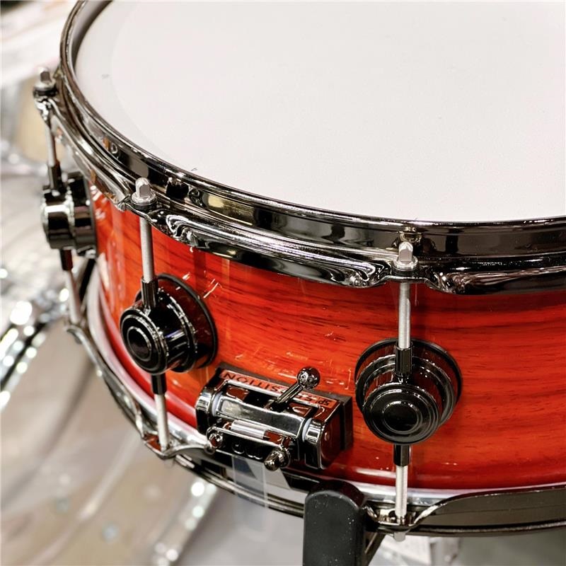 dw DR865514SSN646 Collector's SonicPly Snare Drum 14x5.5 [Natural