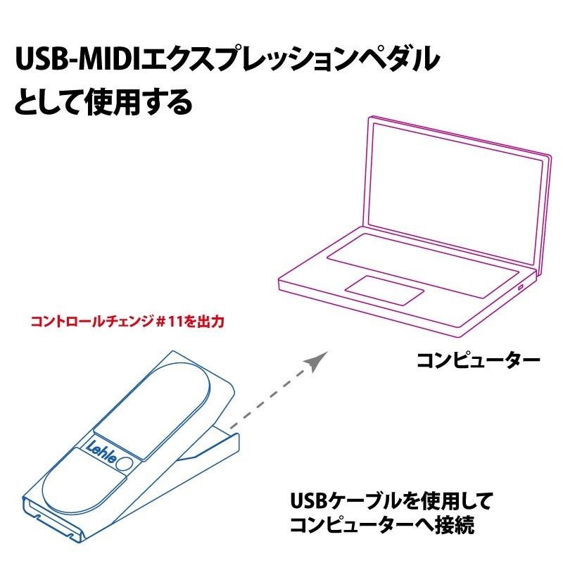 LEHLE 【展示処分特価】DUAL EXPRESSION（エクスプレッションペダル