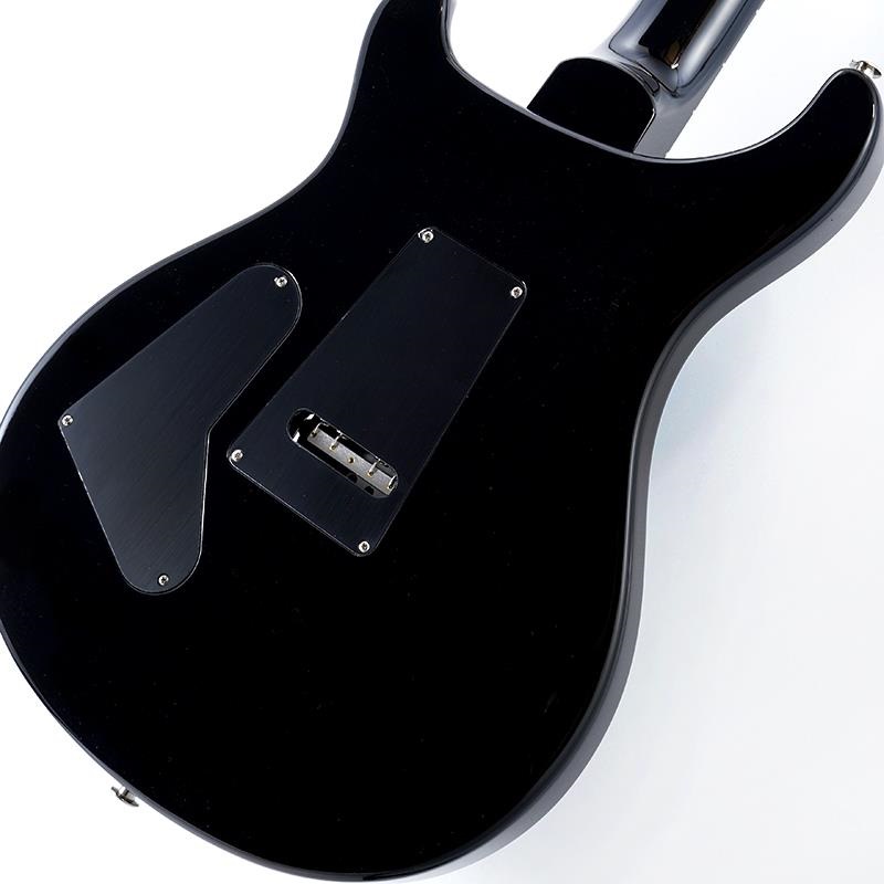 P.R.S. 【「THE IKEBE PRS VAULT」オープン記念キャンペーン】 Custom