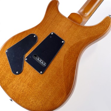 P.R.S. Ikebe Exclusive SE Custom 24 Spalted Veneer (Natural) 画像7