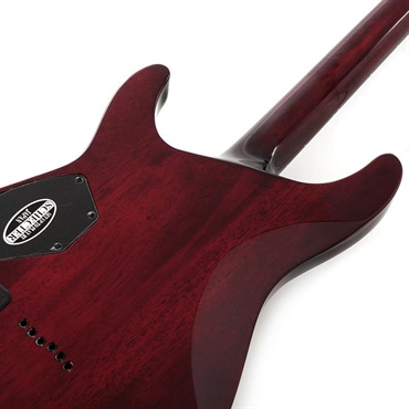 SCHECTER C-1 HellRaiser [AD-C-1-HR] (BCH) 画像5