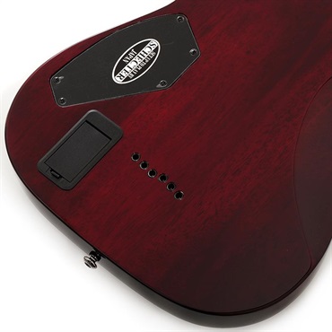 SCHECTER C-1 HellRaiser [AD-C-1-HR] (BCH) 画像7