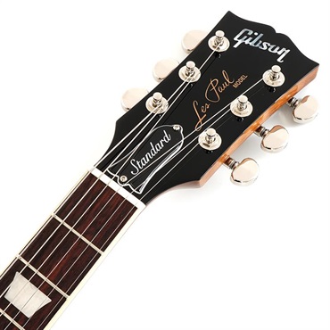 Gibson Les Paul Standard '60s Plain Top (Ebony) 【S/N 226250313】 画像6