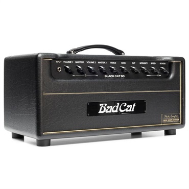 Bad Cat Mod Shop Black Cat 30 Head（バッドキャット） 画像2