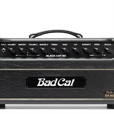 Bad Cat Mod Shop Black Cat 30 Head（バッドキャット） 画像4