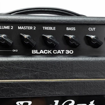 Bad Cat Mod Shop Black Cat 30 Head（バッドキャット） 画像6