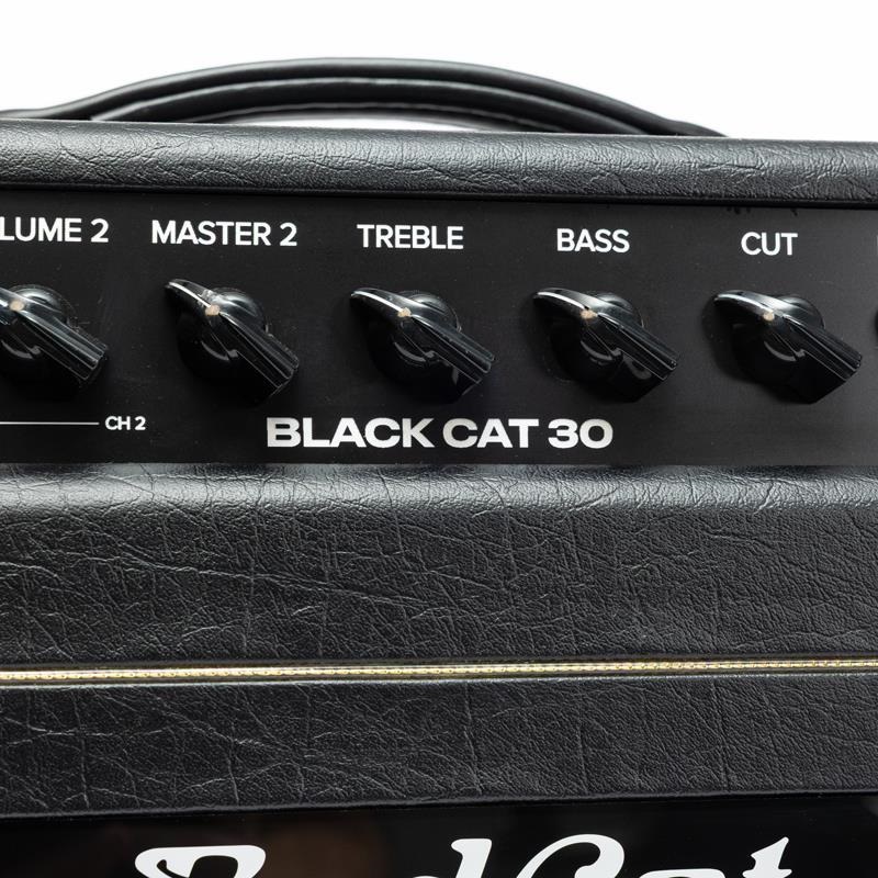 Bad Cat Mod Shop Black Cat 30 Head（バッドキャット） 画像6