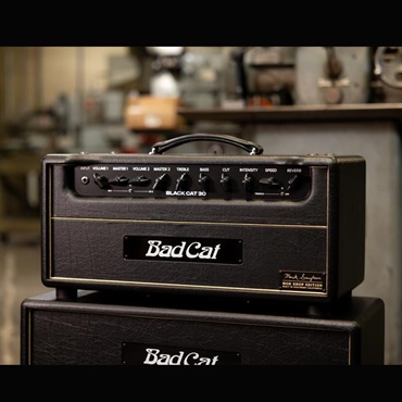 Bad Cat Mod Shop Black Cat 30 Head（バッドキャット） 画像8
