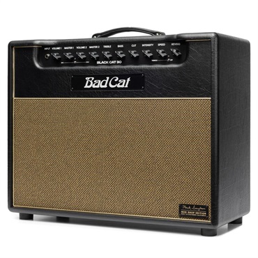 Bad Cat Mod Shop Black Cat 30 Combo（バッドキャット） 画像2