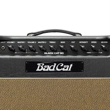 Bad Cat Mod Shop Black Cat 30 Combo（バッドキャット） 画像4