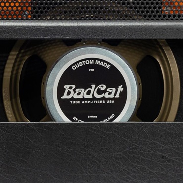 Bad Cat Mod Shop Black Cat 30 Combo（バッドキャット） 画像6