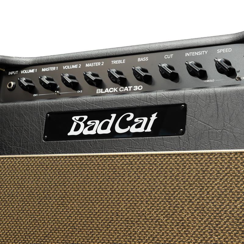 Bad Cat Mod Shop Black Cat 30 Combo（バッドキャット） 画像8