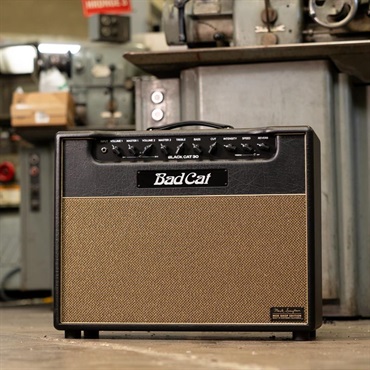 Bad Cat Mod Shop Black Cat 30 Combo（バッドキャット） 画像10