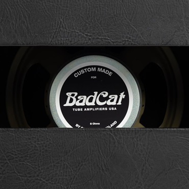Bad Cat CUB V 1x12 Extension Cabinet 60W（バッドキャット） 画像4