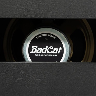 Bad Cat CUB V 2x12 Extension Cabinet 120W（バッドキャット） 画像4