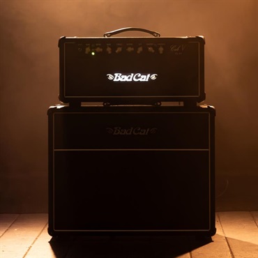 Bad Cat CUB V EL34　Head（バッドキャット） 画像6