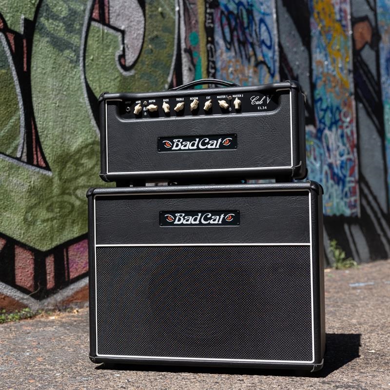 Bad Cat CUB V EL34　Head（バッドキャット） 画像7