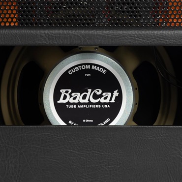 Bad Cat CUB V EL34 1x12 Combo（バッドキャット） 画像6