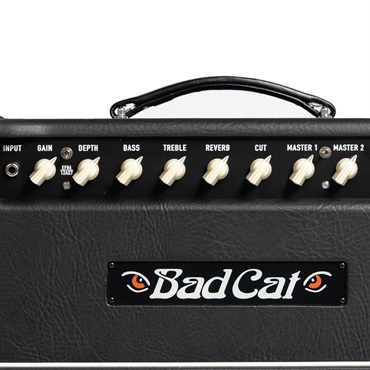 Bad Cat CUB V EL84　Head（バッドキャット） 画像4