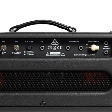 Bad Cat CUB V EL84　Head（バッドキャット） 画像5