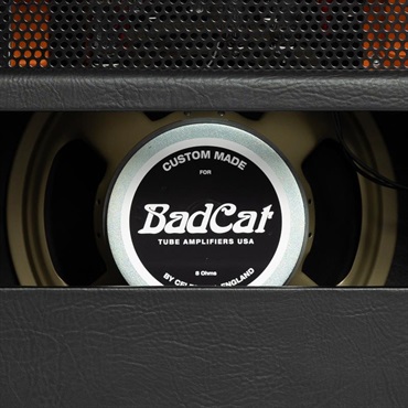 Bad Cat CUB V EL84 1x12 Combo（バッドキャット） 画像6