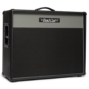 Bad Cat ERA 2x12 Extension Cabinet Gray（バッドキャット） 画像1