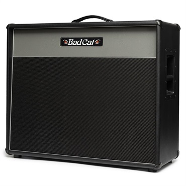 Bad Cat ERA 2x12 Extension Cabinet Gray（バッドキャット） 画像2