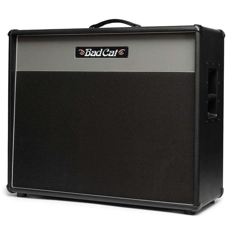 Bad Cat ERA 2x12 Extension Cabinet Gray（バッドキャット） 画像2