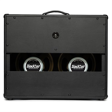 Bad Cat ERA 2x12 Extension Cabinet Gray（バッドキャット） 画像3