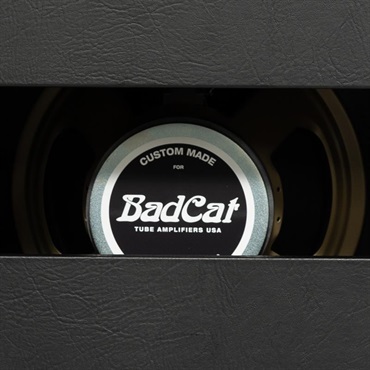 Bad Cat ERA 2x12 Extension Cabinet Gray（バッドキャット） 画像4