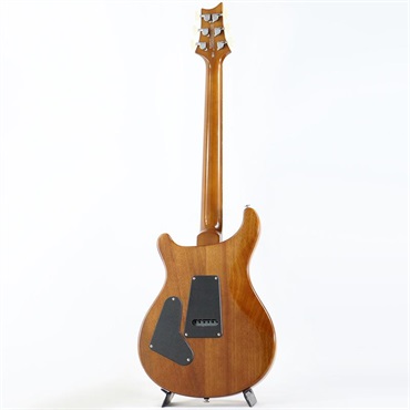 P.R.S. Ikebe Exclusive SE Custom 24 Spalted Veneer (Natural) 【2025年生産品】 画像2