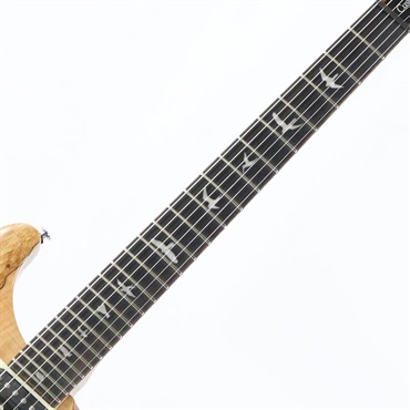 P.R.S. Ikebe Exclusive SE Custom 24 Spalted Veneer (Natural) 【2025年生産品】 画像5