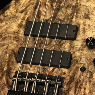 Sadowsky Guitars USED 中古 CustomShop 24-Fret Single Cut Bass 5-String (California Buckeye Burl Top) '23 画像2