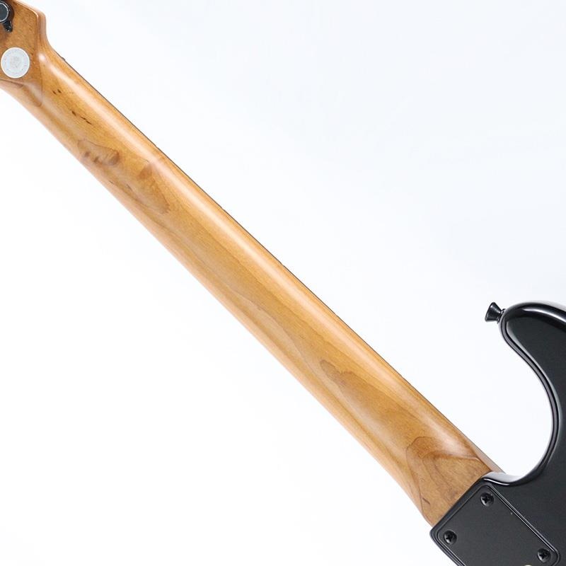 Bacchus Universe Series IKEBE ORIGINAL BST-2-RSM/R ALL BLACK 画像8