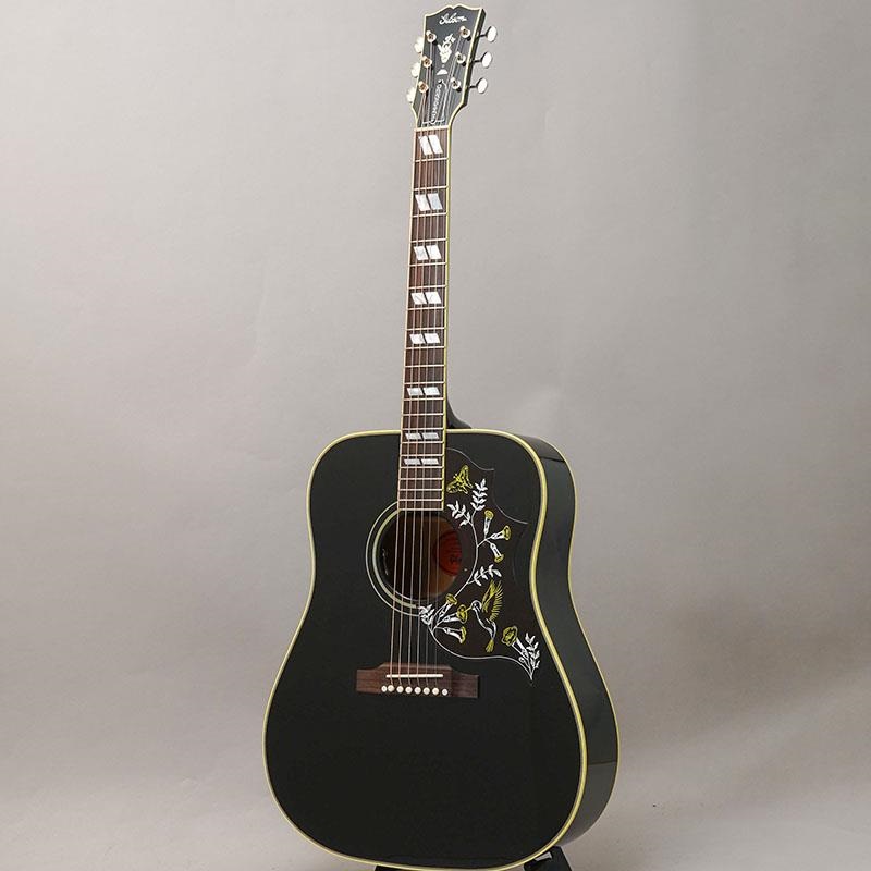 Gibson Hummingbird Torch Ebony ギブソン ｜イケベ楽器店オンラインストア