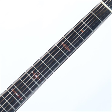 FONZO GUITARS V-34S GAFB/Bearclaw 画像5