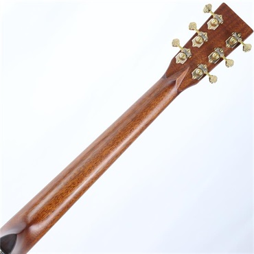 FONZO GUITARS V-34S GAVC 画像7