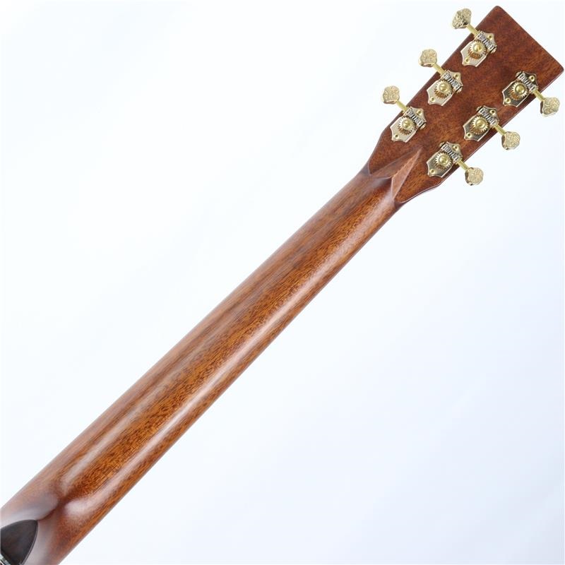 FONZO GUITARS V-34S GAVC ｜イケベ楽器店オンラインストア