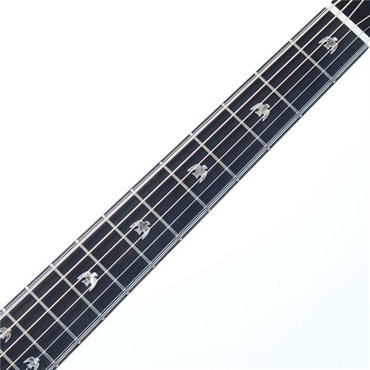 FONZO GUITARS V-33C SJFC 画像5