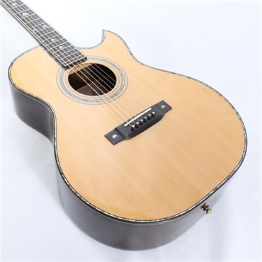 FONZO GUITARS V-33C SJFC 画像8