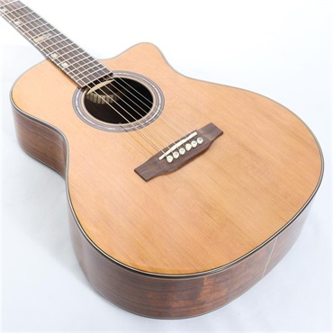 FONZO GUITARS V-201C MINI VC 画像8