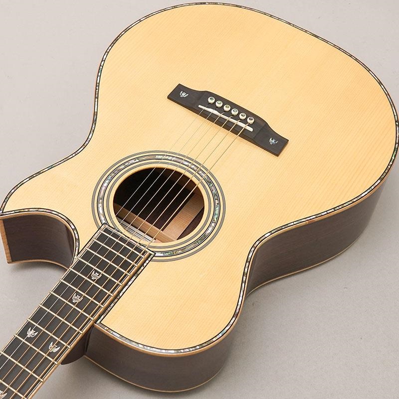 FONZO GUITARS V-33S SJFC 画像4