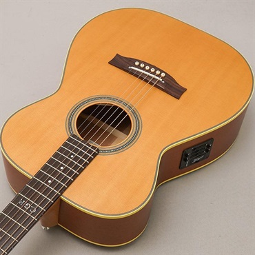 MATON Master Built TE Personal #0163 メイトン 画像4