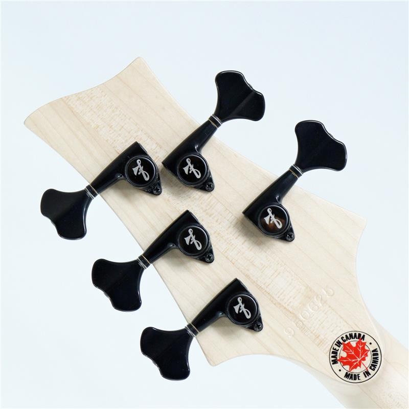 F-bass BN5-GF (Green Fade Gloss with Black Hardware) 画像7