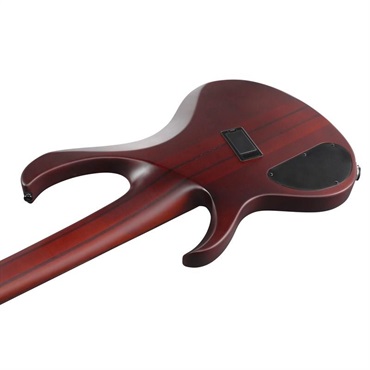 Ibanez Bass Workshop BTB705LM-NNF [SPOT MODEL] 【特価】 画像3