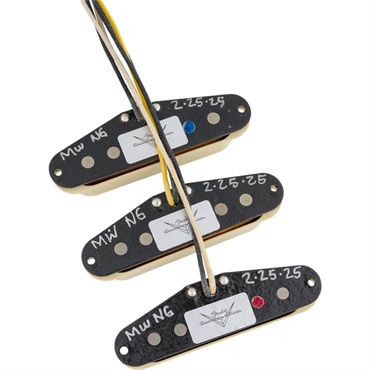 Fender USA 【クリスマスセール】 Custom Shop Ancho Poblano Stratocaster Pickup Set [#0992163000] 画像1
