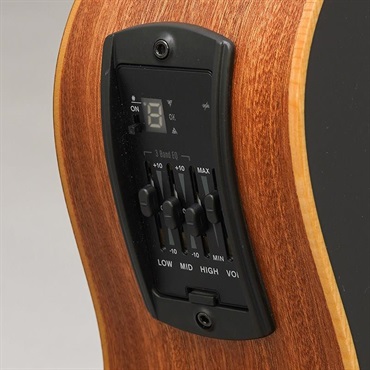 TAYLOR 【半期決算セール】 【チョイ傷特価】GS Mini-e Special Edition (Victorian Burst) テイラー 画像6