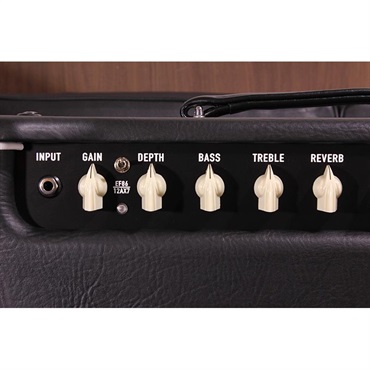 Bad Cat CUB V EL34 Head 画像2