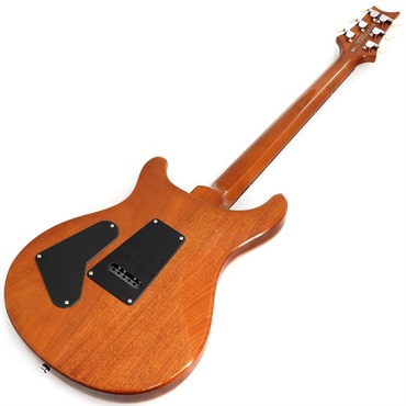 P.R.S. Ikebe Exclusive SE Custom 24 Spalted Veneer (Natural) 画像2